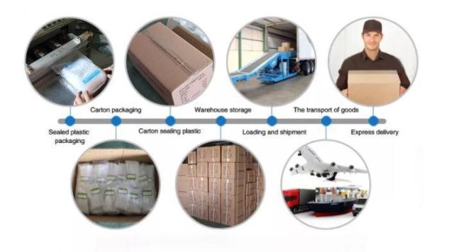 Pg7/Pg9/Pg11 Nylon Cable Gland Pg Series Wire Gland IP68 Waterproof Plastic Cable Gland