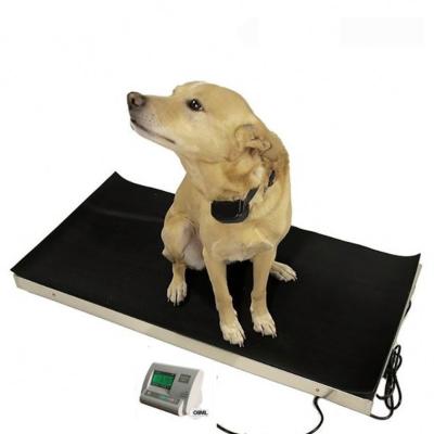 China LED 60kg Precision Animal Digital Weight Scale for sale