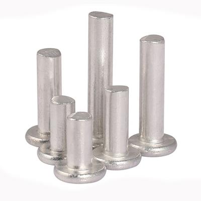 China SUS304 / SUS316 Stainless Steel Flat Round Head Rivets Solid en venta