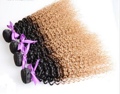 China extensões reais do cabelo humano de Ombre da categoria 7A, tom real das extensões dois do cabelo de Ombre da onda profunda à venda