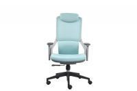 China Pneumatic Office Revolving Chairs Height 1155 - 1250mm With Lumbar Support for sale