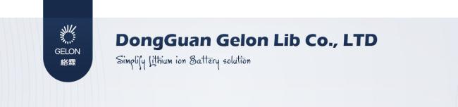 Gelon LIB Group company facility