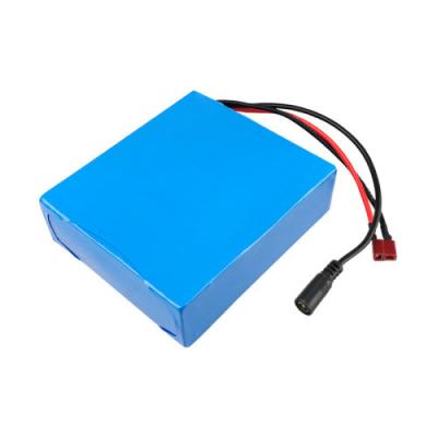 China LFP 24 Volt 10 Amp Lithium Battery 25.6V 10Ah For Travelscooter E Scooter for sale