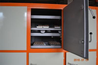 China Waste Paper Egg Tray / Carton Machine With Germany Valve For Small Medium Company for sale
