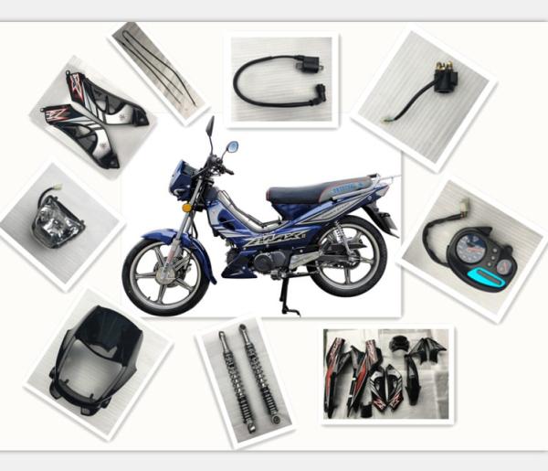 Quality Tunisia Zongsheng Engine 110CC Motorcycle Spare Parts Including Turning Lights for sale