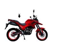 Quality Gasoline Powered Racing Bike Motorcycle 250cc 300cc TEKKEN Motorcycle for sale