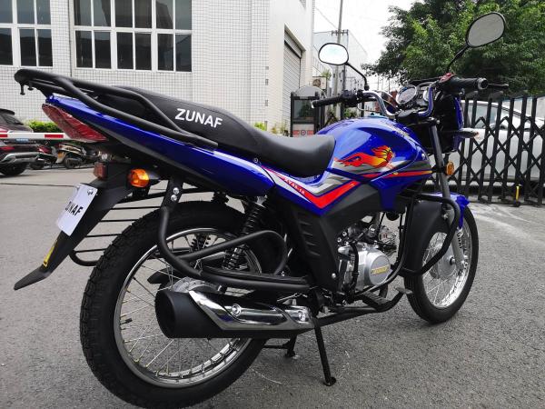 Quality Gas oem ZS Hongli LIFAN legal motor bike street4 stroke 49cc 70cc 110cc Alpha for sale