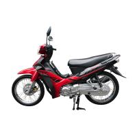 Quality Chongqing high quality hot Selling 4 stroke 100cc 110cc 125cc motorbike cub for sale