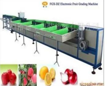 China fruit washing sorting machine / weight sorting machine for Fruit for sale