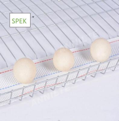 Chine Ceinture blanche d'oeufs d'Annilte FeatherGlide ceintures de collection tissées 4 par pouces d'oeufs de bonne qualité de ferme avicole à vendre