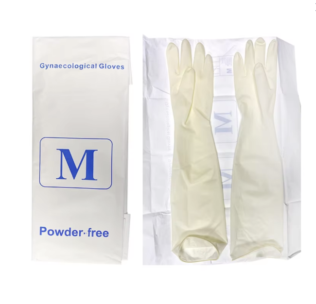 Sterile latex gloves being worn during examination