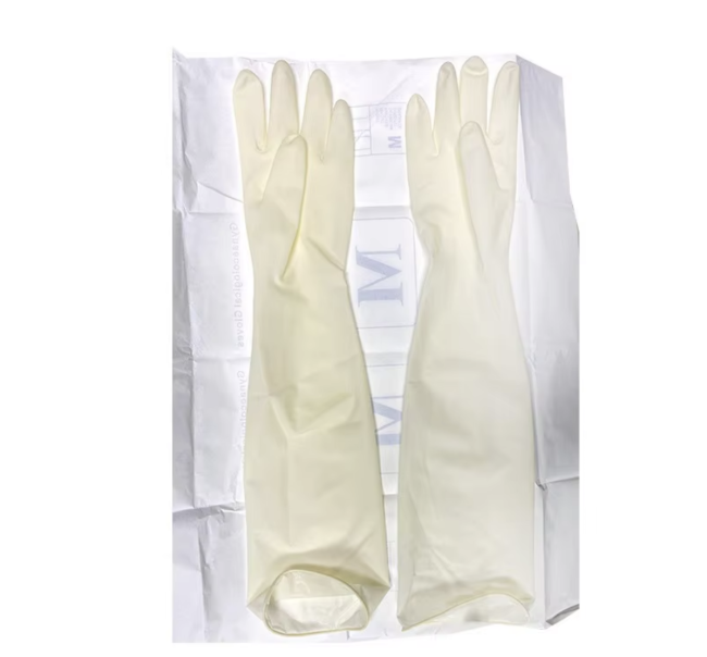 Box of sterile latex gynecological examination gloves