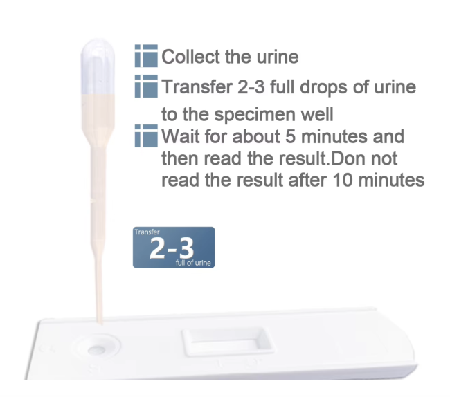 Pregnancy Test Card with testing instructions