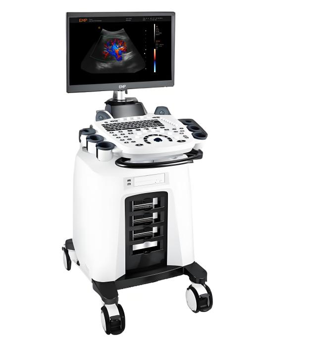 Color Doppler Ultrasound System in clinical use