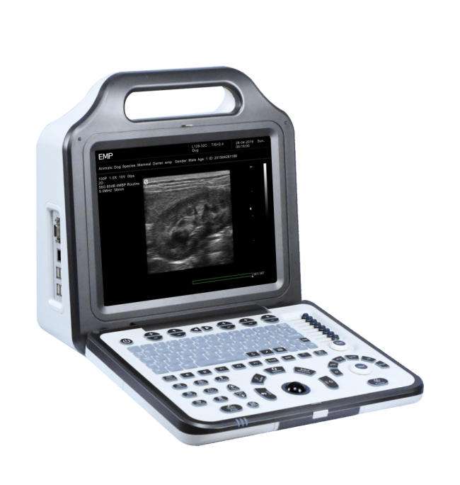 Color Doppler Ultrasound System display close-up