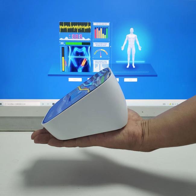 Quantum Resonance Magnetic Health Analyzer display screen