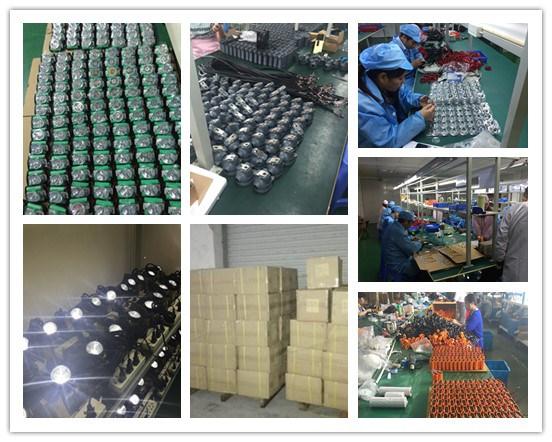 GREEN LIGHTING ELECTROICS CO.,LTD