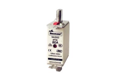 China NH 500V Low Voltage Fuse 2-1250A for Electric Motor Control And Protection en venta