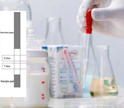 China 2-8 tiras de prueba antibióticos de Quinolone de la leche cruda del ℃ de uso fácil de la detección en venta