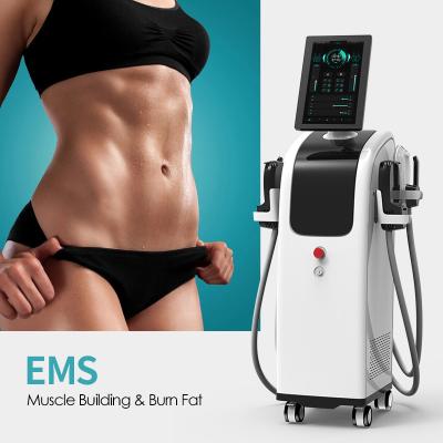 China 13 Tesla Ems Weight Loss Machine For Muscle Building And Fat Burning for sale