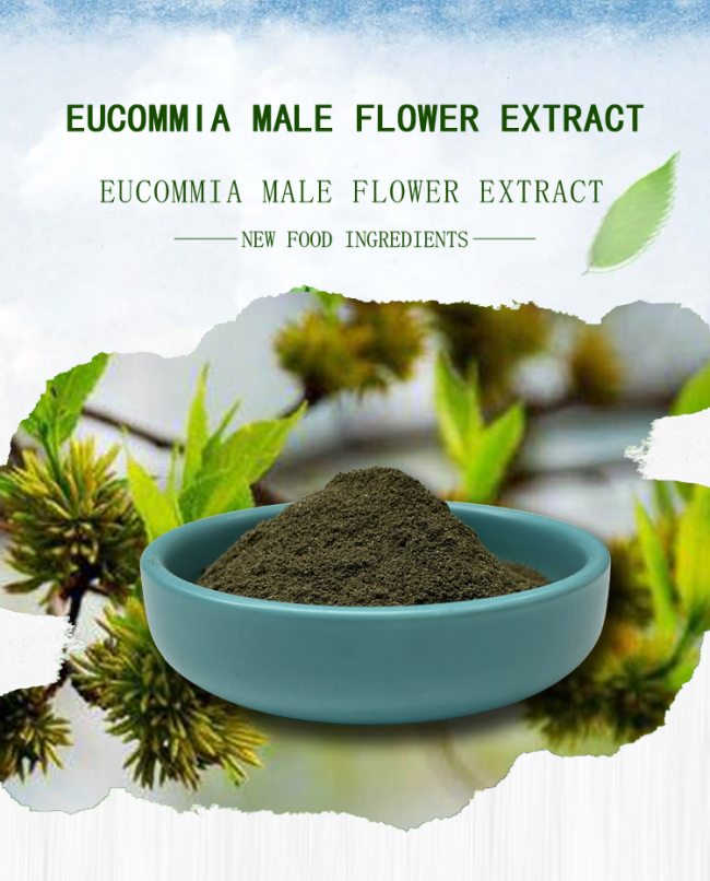 BAK Mens Health Supplement Eucommia Male Flower Brown Green Powder ISO9001 0