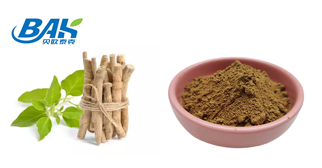 Withanolides Extract Mens Health Supplement Ashwagandha Extract Powder 1% 2.5% 0