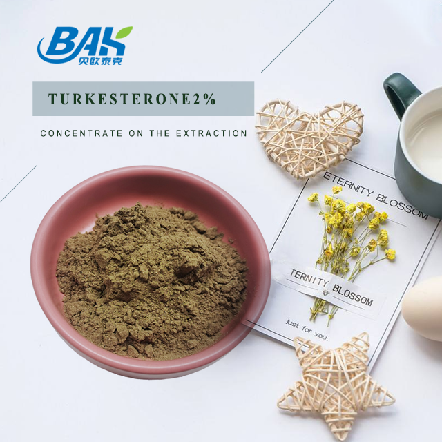 Bodybuilding Ajuga Turkestanica Extract Turkesterone Powder 2% 0