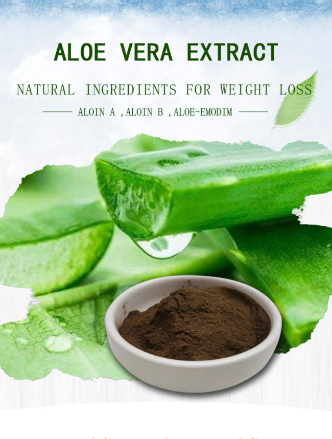 100/1 200/1 Aloe Barbadensis Leaf Extract Cas 85507-69-3 Brown Fine Powder 0