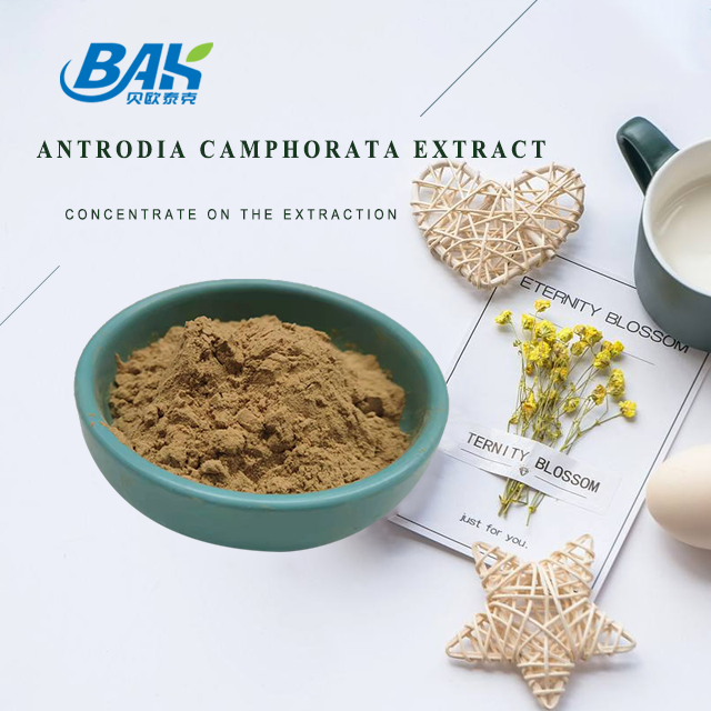 10% - 50% Mushroom Extract Supplement Antrodia Cinnamomea Extract Polysaccharides 0