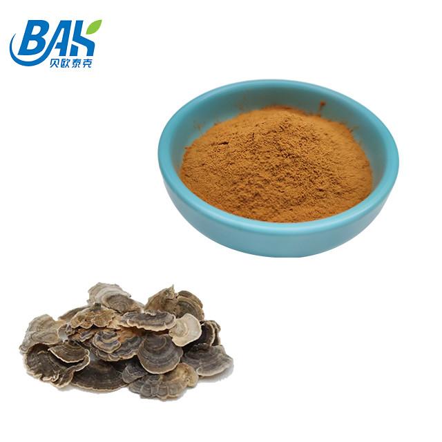 10%-50% Coriolous Versicolor Mushroom Extract Supplement Brown Yellow Powder 0