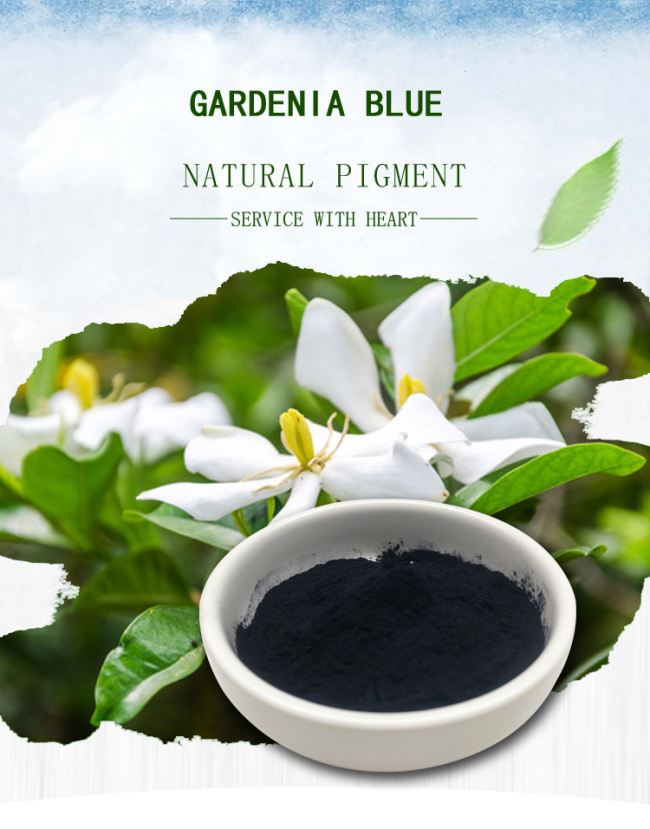 Food Colourant Gardenia Blue dark blue powder 24512-62-7 0