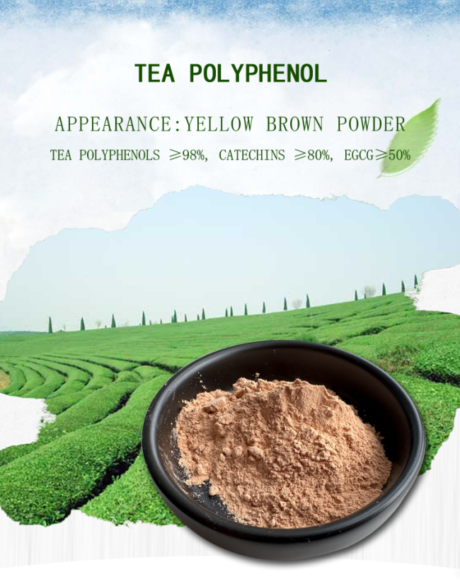 Green Tea Extract Natural Food Additives Tea Polyphenol 98% 0