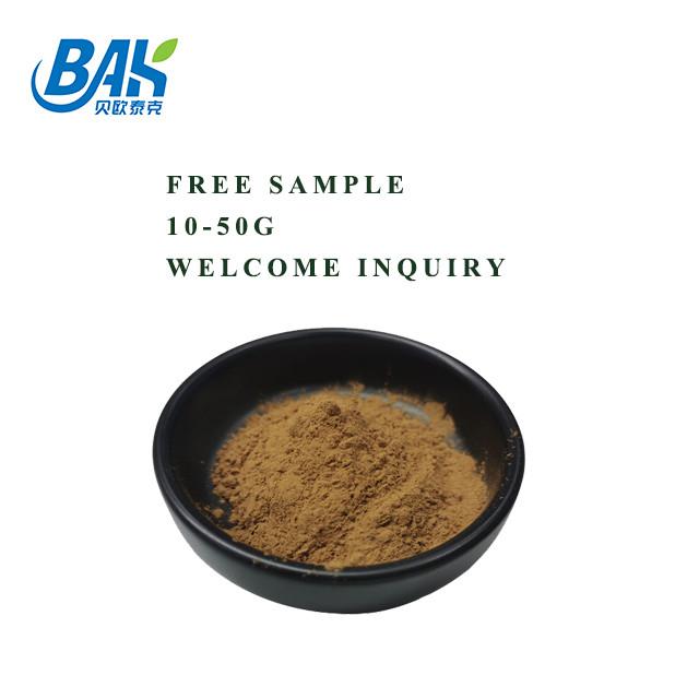 HPLC UV Bacopa Monnieri Extract Brown Yellow Powder 100% Pass 80 Mesh 0
