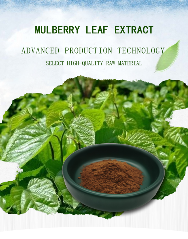 Pure Fruit 10% Mulberry Leaf Extract Supplement Brown Powder 0