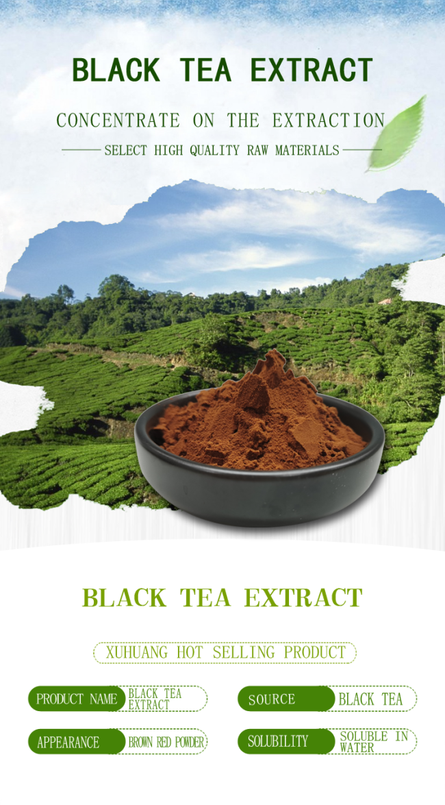BAK Black Tea Extract Reddish Brown Powder 10% 20% 60% 80% 0