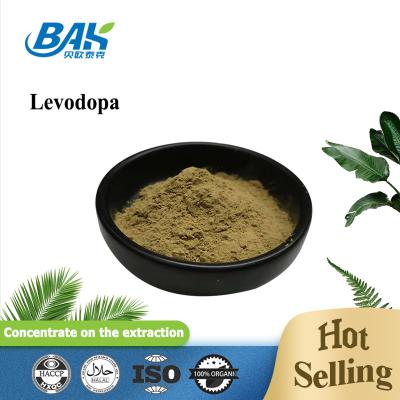 China 80 Mesh Mens Health Supplement Mucuna Pruriens Extract Levodopa Powder for sale