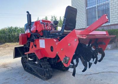 China OEM Tractor de tierra seca de 35 CV Equipo agrícola Tractor de jardín pequeño en venta