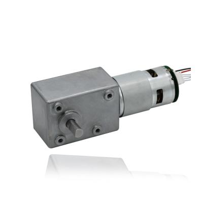 China 12V Worm Gear Motor Brushless Dc Motor With 5882 Worm Gearbox for sale