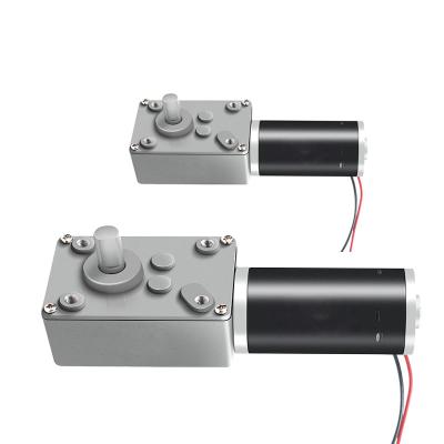 China 20W Reversible Dc Motor Micro Worm Gear For Electric Door Curtain Robot for sale