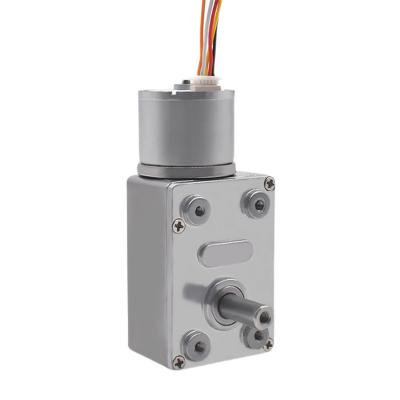China Micro Electric Dc Brushless Motor 300rpm 25w CCC With Worm Gear for sale