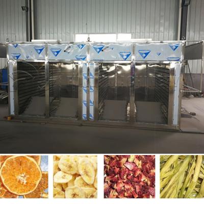 China Deshidratador industrial ahorro de energía de la cecina/aire caliente de la secadora de la comida en venta