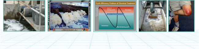 Chemical treatment environmental impact