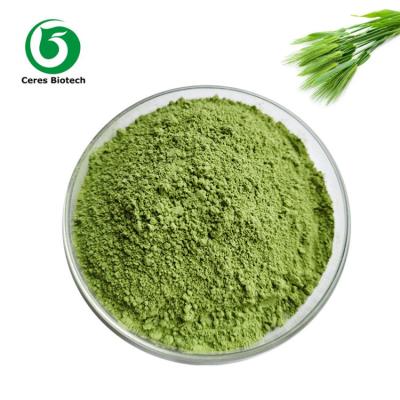 China Plant Herb Extract Barley Grass Powder Natural Ingredient 100 - 200mesh for sale