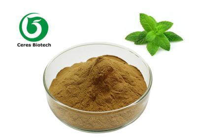 China Mentha Piperita Extract 100% Wild Mint Herbal Extract Powder for sale