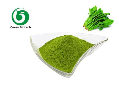 China Vegetable Supplement Dehydrated Organic Spinach Powder for sale