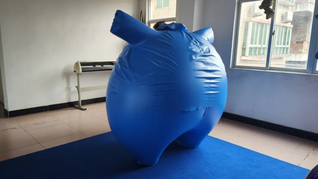 Beile customized quality PVC inflatable blueberry ball suit for adult