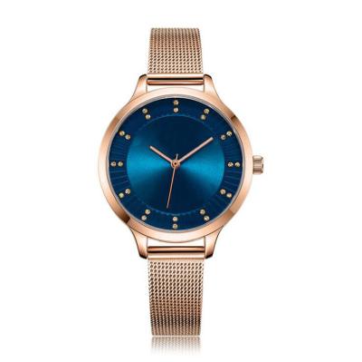 China Fashion Waterproof Brass Wrist Watch Ladies Quartz Design With IP Plated for sale