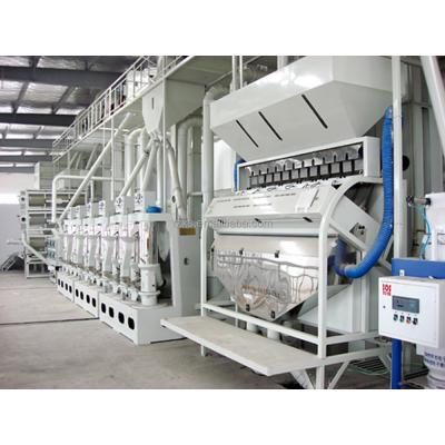 China Workers Operate Complete Rice Milling Equipment Plant with 100 Ton Per Day Capacity for sale