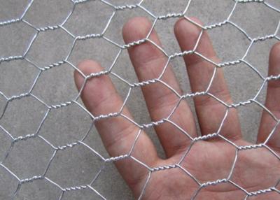 China Small Hole Bwg19 Chicken Mesh Fence Coop Galvanized Wire Rolls for sale