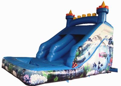 China Small inflatable mini castle water slide The frozen castle inflatable tiny water slide for children under 8 years for sale